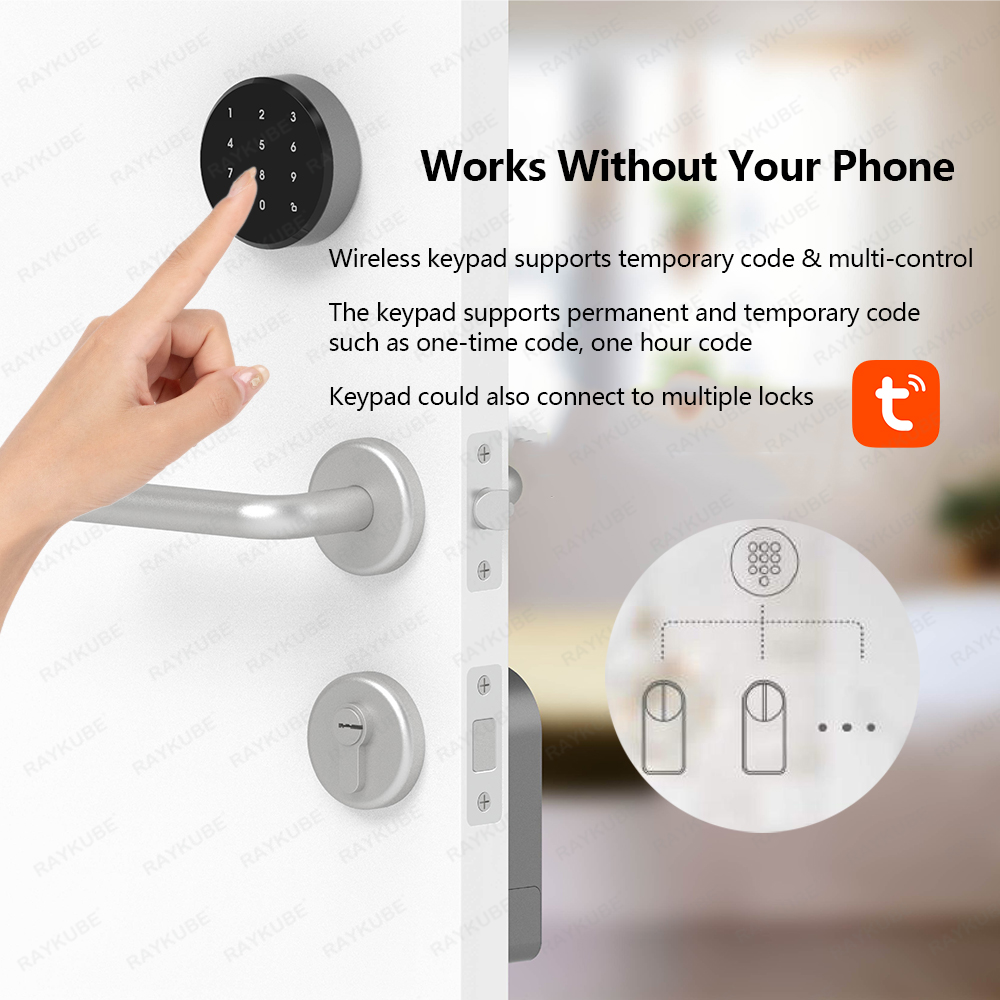 RAYKUBE A1 Pro Tuya BEL Intell – Smart Home Ezviz Bewertung und Preis