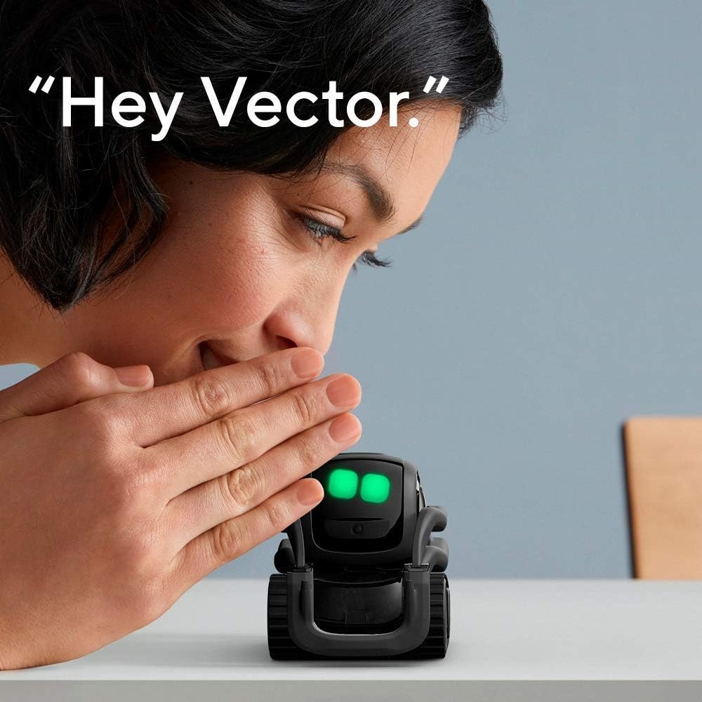 KI ChatGPT 2.0 Verbundener Rob – Smart Home Control Bewertung und Preis
