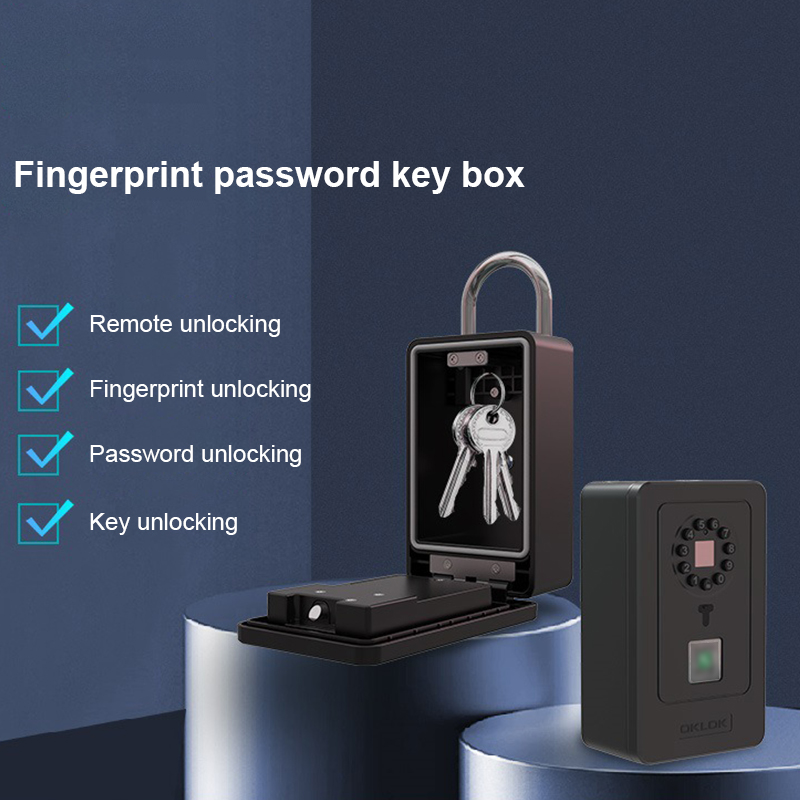 Intelligentes Vorhängeschloss  – Smart Door Lock Bewertung und Preis